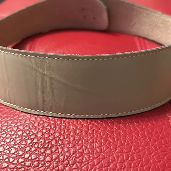 Vintage Anna Klein beige tan leather wide belt with goldtone lion head Sz M - Picture 6 of 9